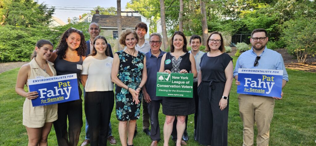 Members of the NYLCV team at a fundraising event.